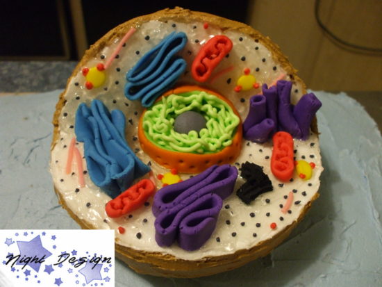 animal cell structure with labels. animal cell structure with