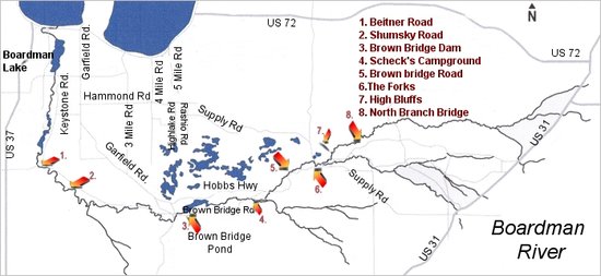 Interactive map of michigan