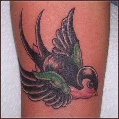 sparrow tattoo pics. sparrow tattoo. jack sparrow