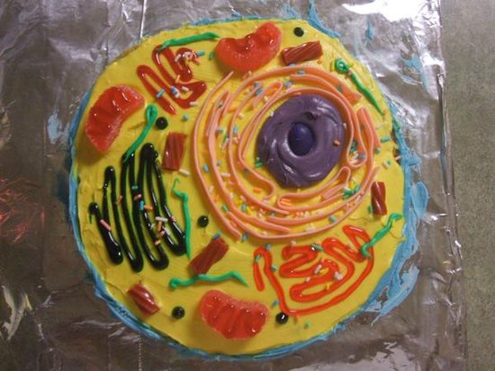 animal cell cake ideas. Animal Cell 3d Project Ideas.