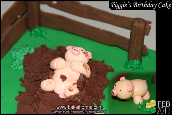 of justin bieber birthday justin bieber birthday pictures 2011. of justin bieber birthday