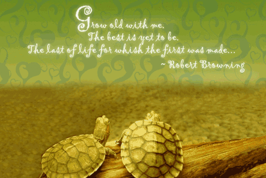 desktop wallpapers with quotations. wallpapers with quotes for