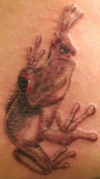 Tree Frog Tattoo Designs. frog tattoo designs. Tree Frog Tattoo Designs.