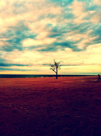 Spring on Lake Michigan, taken April 26th with iPhone 4.