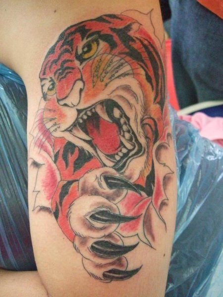 japanese tiger tattoos. Japanese Tiger Tattoo (6)