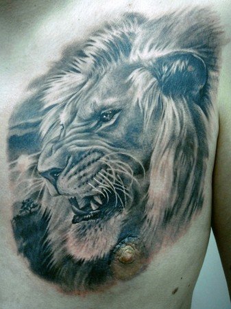 celtic tribal tattoos_18. Back Japanese Lion Tattoos(18)