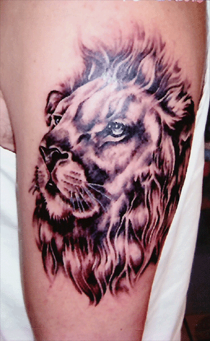 lion tattoos. Back Japanese Lion Tattoos(1)