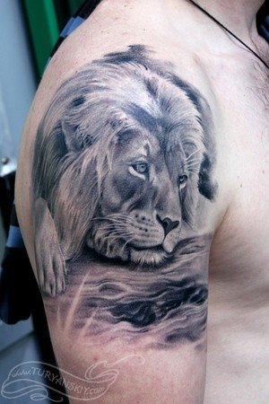 girl shoulder tattoos_17. girl shoulder tattoos_17. Back Japanese Lion Tattoos(17)