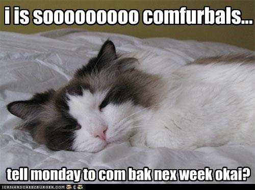 monday quotes funny. funny monday quotes.