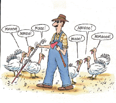 funny thanksgiving quotes. funny thanksgiving cartoons.