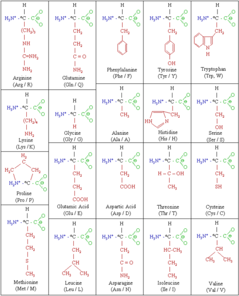 Amino Acid Code amino acid code. Amino Acid Code