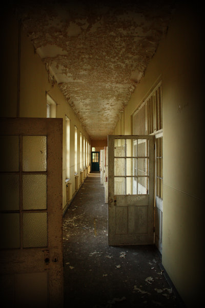 in essex county asylum as