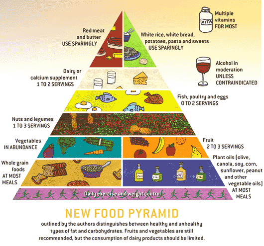 mexico food guide pyramid. food pyramid 2011. mexico food