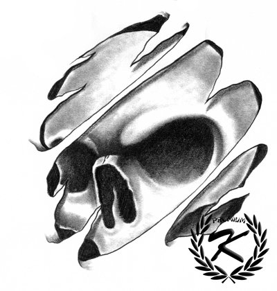 Skull Tattoo Ideas on Skulls Tattoo Designs Tattoo Designs Skulls