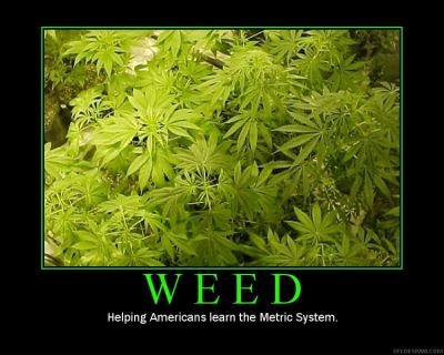 funny weed quotes. Listen to the funny sound