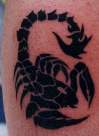 tribal scorpion tattoo designs