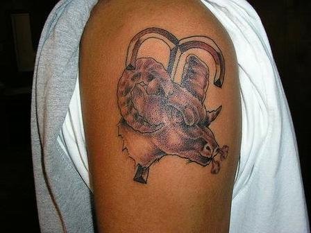 Angry Ram Tattoo