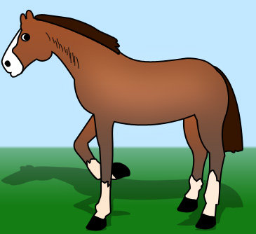 horse drawing cartoon. Drawing a Cartoon Horse