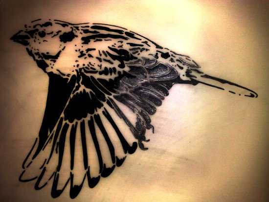 sparrow tattoo. Sparrow Tattoo Designs.