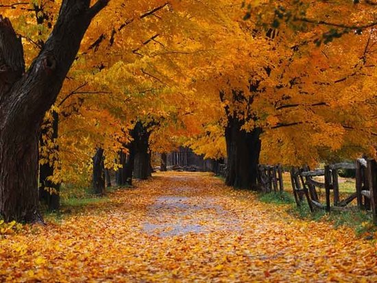 fall wallpaper pictures. Beautiful Fall Wallpapers