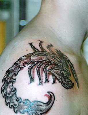 Tattoos Of Scorpions Scorpion Tattoo Designs 5 306x400px