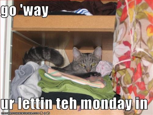 funny-pictures-cat-says-you-are-letting-the-monday-in.jpg