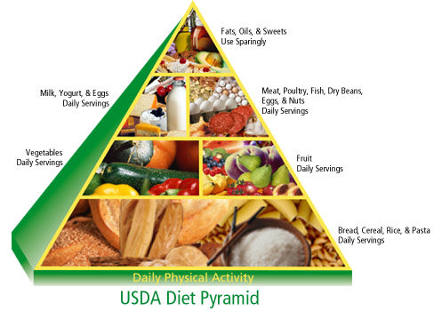 Healthy+food+pyramid+pictures