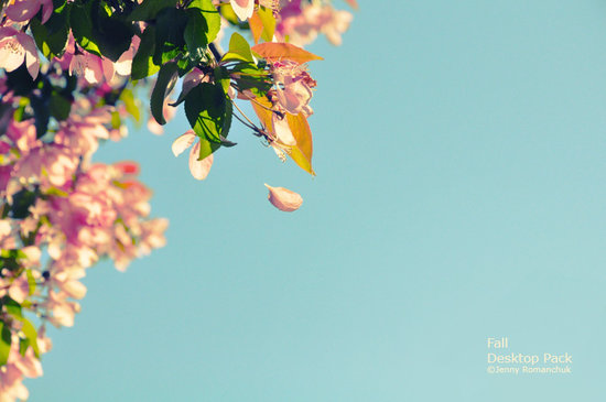 fall wallpaper pictures. Fall Wallpaper Pack by