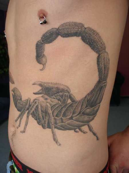 tattoos of scorpions. tattoos of scorpions. Style Scorpion Tattoos Art; Style Scorpion Tattoos Art