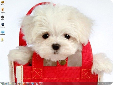 Free Cute Puppies Wallpapers. free puppy wallpaper.