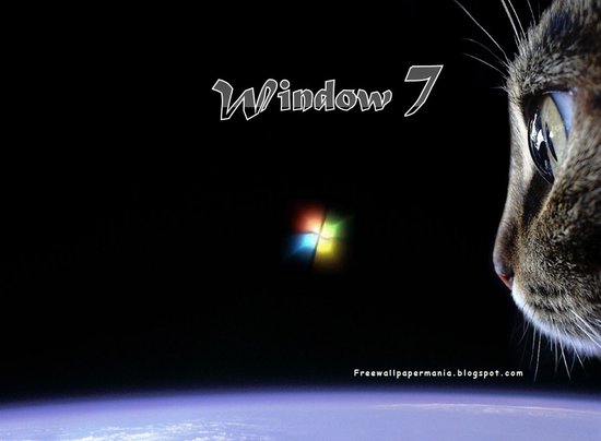 pc 3d wallpapers free download. tattoo PC Edition 2005,Windows