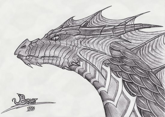 tribal dragon head. Dragon Head Pictures, Dragon