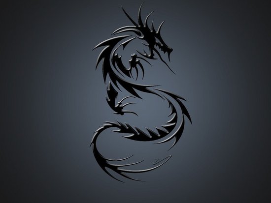 tribal dragons tattoo gallery, dragon tattoos designs