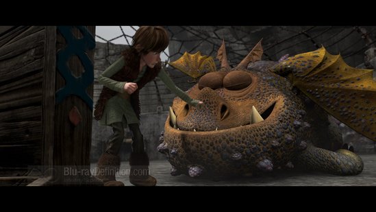 How To Train Your Dragon Wallpaper. How to Train Your Dragon Blu