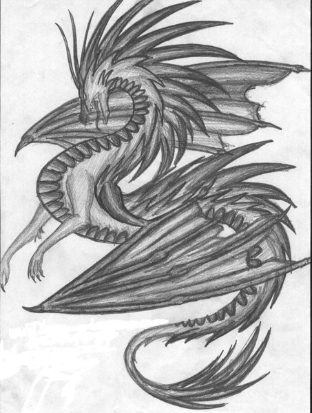 tribal dragon drawing. Dragon Drawing