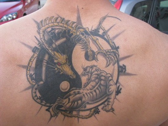 dragon tiger tattoo. Dragon Tiger Tattoos Yin Yang