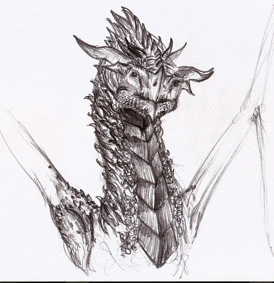 Dragon Head Pictures, Dragon Head Drawings