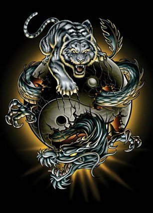 dragon tiger tattoo. Dragon Tiger Tattoos, Dragon