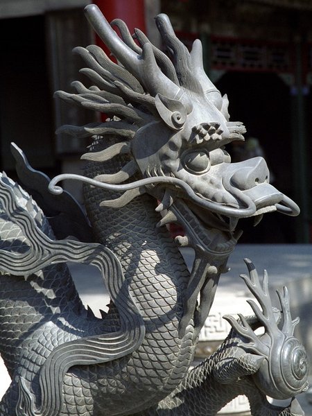 Dragon Head Pictures
