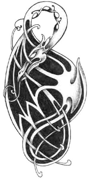celtic Dragon Tattoo Designs