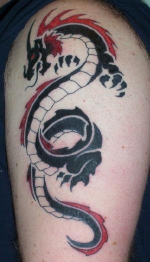 Tribal Chinese Dragon Tattoos Picture