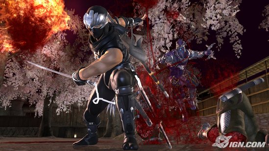 ninja gaiden 2 wallpaper. Dragon Sword Ryu Ninja Gaiden