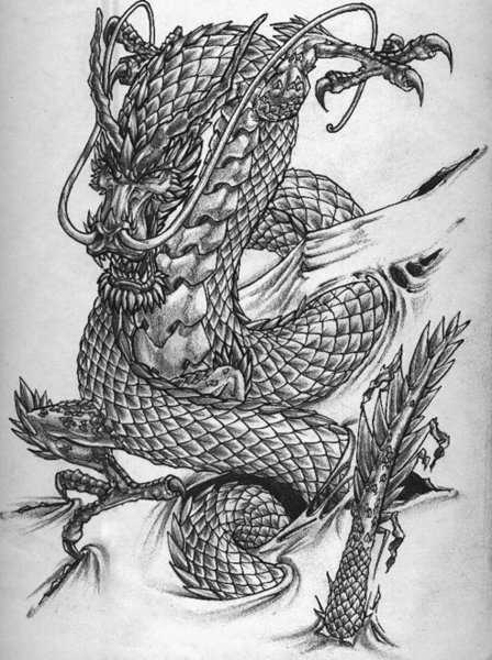 Best Chinese Dragon Tiger Tattoo Chinese Dragon Tribal Design