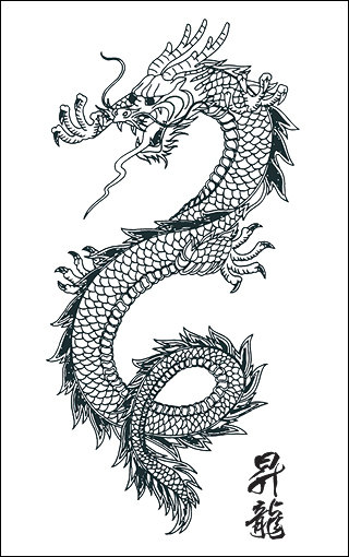 Dragon Tattoo Sample of Dragon Tattoo