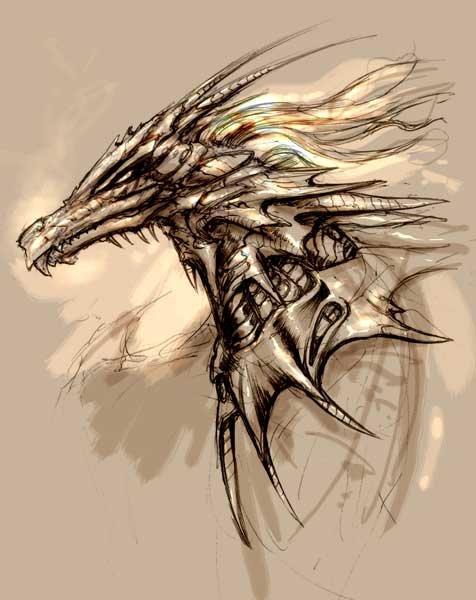 Dragon Head Pictures, Dragon Head Drawings