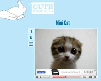 Cute Roulette Features Cute Puppy, Kitten, and Baby Animal Videos