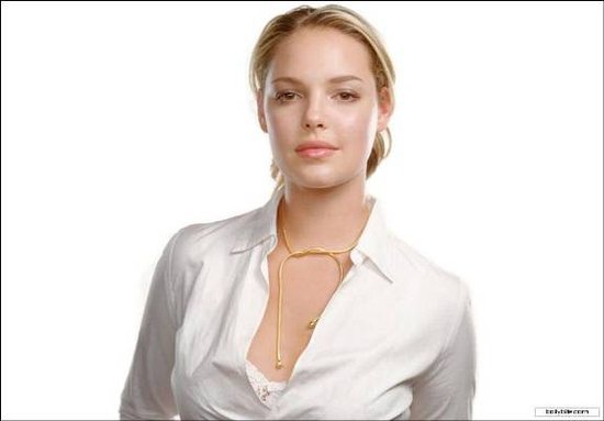katherine heigl hot actress. Find Hollywood Hottest Actress