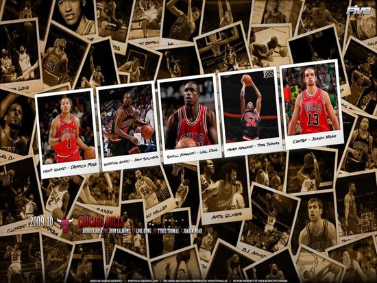 chicago bulls logo wallpaper. chicago bulls wallpaper logo. Chicago Bulls Polaroid 2010