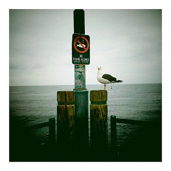 Morning stroll at the Redondo Beach Pier