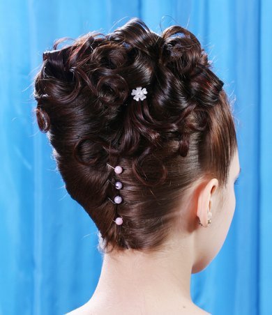 hairstyles 2011 prom. 2011 prom hairstyles for girls